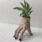 Hand-shaped plant pot with a green plant on a textured surface